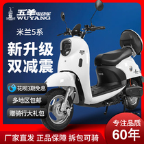 Wuyang new turtle king battery car double 60v electric motorcycle 72V ladies adult electric scooter