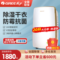 Gree DH20EH dehumidifier household high-power moisture absorber basement bedroom dehumidification moisture dehumidification machine drying