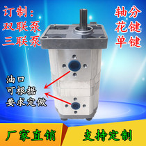 Hydraulic gear pump double gear pump CBN-EF325 306 Various specifications spray truck Sprinkle Cart Set to do