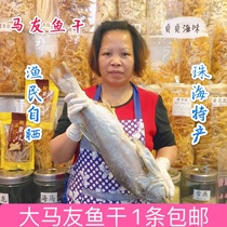 Special horse friends dried fish salted fish Guangdong specialty seafood dried seafood whole sale of a multi-province