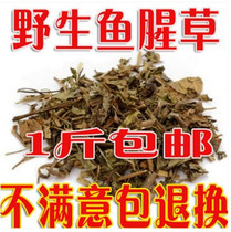 New goods Jinhua City Zhejiang Province bulk Houttuynia cordata root herbal tea 500g