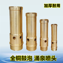 Direct sales of all copper bubble 4 minutes 6 inch spring spring nozzle garden pool water landscape project for landscape fountain