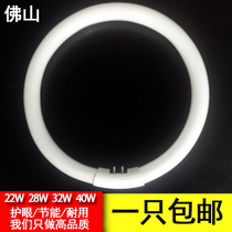 Foshan Lighting Ring Tube 22W28W32W40W55W Ring Light Tube Foshan Round Lighting T5 Ring Tube