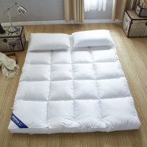 Five-star hotel ultra-soft 10cm mattress padded thickened mattress pad quilt household 1 8m double mattress pad