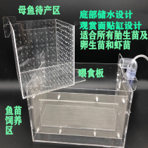 Fish tank anti-lift isolation box Fry incubator adhesive hook suction plate fish shrimp fry isolation guppies Acrylic custom