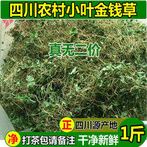 Money Grass dissolved stone grass Sichuan rural leaf money grass tea Source Herbal Materia Medica Horseshoe Gold Tea 500g