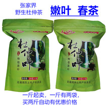 Eucommia tea Zhangjiajie specialty wild super tender leaves 500g male and female health tea Japanese fat tea