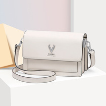 French niche bag female organ bag with new tide cow skin high-texture gas skinny bag