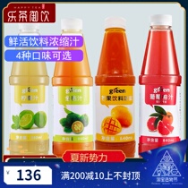 Fresh South China Mango juice 840ml*4 bottles concentrated kumquat juice Milk tea shop special beverage Juice Commercial thick pulp