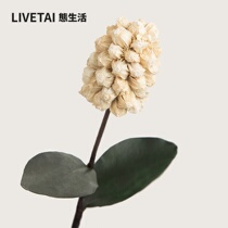 Life ins Handmade Hyacinth Art Dried Flowers Bouquet Decorative Flowers True Flowers Eternal Flowers Home Living Room Decoration