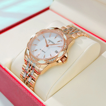 New Carolet Fully Automatic Mechanical Watch Ladies Watch Womens Band Fashion Temperament Brand Waterproofing Tide