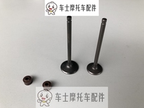 Applicable to original motorcycle Quill Eagle Diamond HJ125T-10-10A-10C-10G-10E valve oil seal