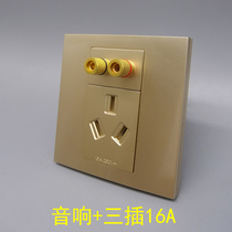 Champagne three-hole three-plug plus audio two-three-plug 16A3 hole water column sound convex head two holes 5 1 surround banana