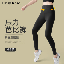 Small sub shark pants strong pressure slim leg female outside wearing spring and summer thin section 50% Pressure to hit bottom riding yoga Barbie pants