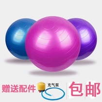 Professional preterm birth large balance training ball Yoga rehabilitation cage ball ball Childrens PAP ball brain sensory system air supply