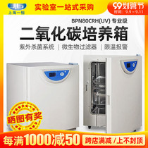 Shanghai one constant carbon dioxide incubator BPN80CRH(UV) professional grade microbial cell bacterial incubator