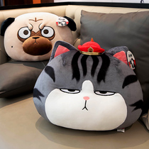 Long live my Emperor pillow cushion office nap pillow seat pillow living room sofa back cushion student dormitory
