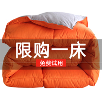 Duvet 95 white goose down Spring and Autumn quilt winter thickened hotel quilt single double summer white duck quilt