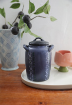 MUSe Garden elegant vintage U hand-painted clay seal jar Ceramic storage jar