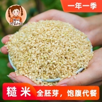 Yimeng Mountain Niu New Brown Rice Farmhouse Planting Brown Rice Whole Germ Brown Rice Whole Grain Grain Germ Rice Full
