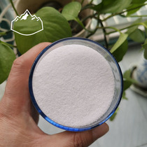 5 KG 40-70 mesh high quality pure white sand fine sand withered landscape decoration Snow White fine sand micro landscape