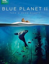 Documentary Blue Earth Blue Planet 2 HD Chinese and English Bilingual Mandarin Hillsong 3-disc DVD