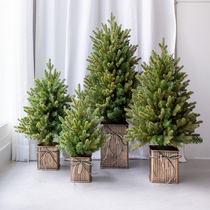 Christmas tree decorations luxury home desktop ornaments simulation 4560 75 90cmPE mixed encrypted Christmas tree