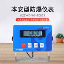 Youbao explosion-proof instrument XK3102-E0833 explosion-proof platform scale electronic scale EX explosion-proof weighbridge explosion-proof battery