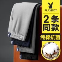 Playboy men's autumn pants cotton wool pants winter thin tight bottoming warm spring and autumn cotton pants tide