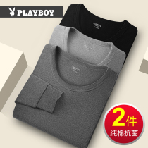 Flower Playboy pure cotton anti-bacterial mens autumn clothes with warm underwear thin upper body for undershirt winter