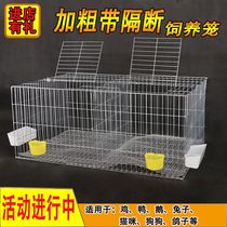 Rabbit Cage Chicken Cage Home Pigeon Breeding Cage Quail Cage Plated Zinc Iron Wire Cage Pigeon Cage primary and secondary large number cage