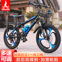 Phoenix childrens bicycle 7-8-10-12-15-year-old girl Male Middle school child 20-inch student pedal mountain bike