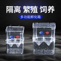Isolation box incubator box fish tank breeding box guppy fish and other viviparous fish breeding box hatching box