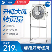 Emmett 12 inch lifting page fan FB3009T2 household timing floor fan fan table vertical fortune fan table