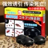 Товары от 黛施丽人旗舰店