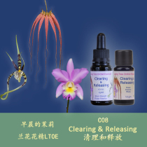 C08 Clean up and release Awareness and Stable English LTOE Orchid Granule Granules