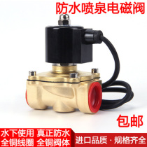 All copper underwater fountain waterproof solenoid valve water valve buried solenoid valve 220V switch valve 220 coil