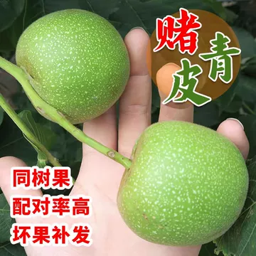 文玩核桃蛤蟆头-文玩核桃蛤蟆头促销价格、文玩核桃蛤蟆头品牌- 淘宝