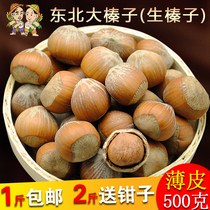 Northeast specialty hazelnut Tieling raw hazelnut 2020 new thin skin original flavor fresh dried fruit nuts 500g