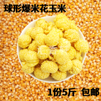 A shot of 5 kg ball popcorn small corn kernels Northeast spherical burst corn commercial burst bracts Home small grains