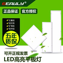Purification lamp LED clean flat panel lamp 300x1200 Hospital operating lamp Ceiling lamp Laboratory dust-free workshop lamp