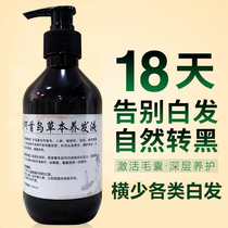 何22010934 From The Best Shopping Agent Yoycart Com