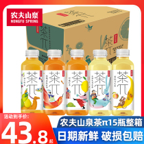 Nongfu Spring Tea π Tea Pie flavor drink 500ml*15 bottles Peach Oolong Tea Lemon mixed flavors