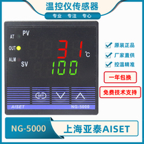 NG-5411-2 NG-5411V-2 of AISET Shanghai Yatai NG-5000 Intelligent Temperature Controller