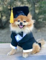 JZZ Teddy VIP Koki Fa dogfighting dog pet hat cat change hat graduation cap doctoral hat