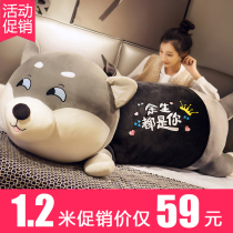 Cute husky plush toy doll doll two ha doll girl bed sleeping pillow birthday gift