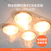 (New) Flying carving bathroom lights four lights bath bully non-integrated ceiling embedded two-in-one household heater