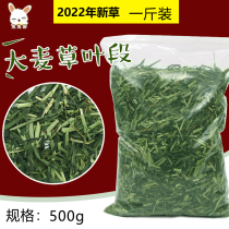 A catty of oatmeal wheat straw rabbit tender green large wheat straw section dry Dutch pig guinea pig feed the geranium gentian cat 500g