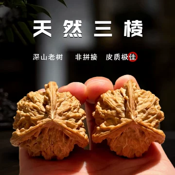 三棱核桃 野生文山三棱核桃平谷元宝龟甲纹云铁粗筋三棱