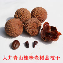 Gaozhou litchi fruit beauty Dajing Qingshan Gui old tree lychee dry sweet and delicious 500g